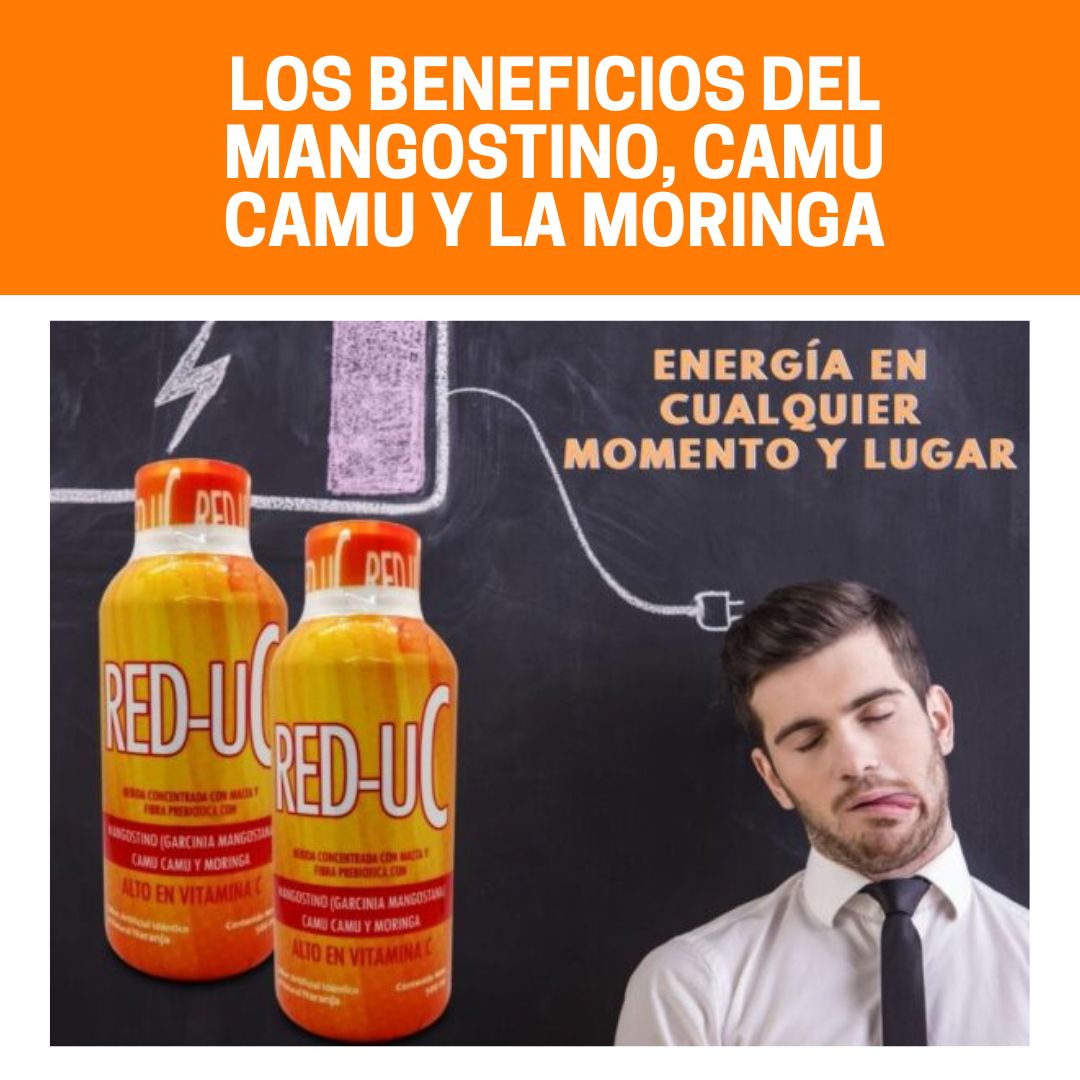 RED-UC CON VITAMINA C x 500 ml