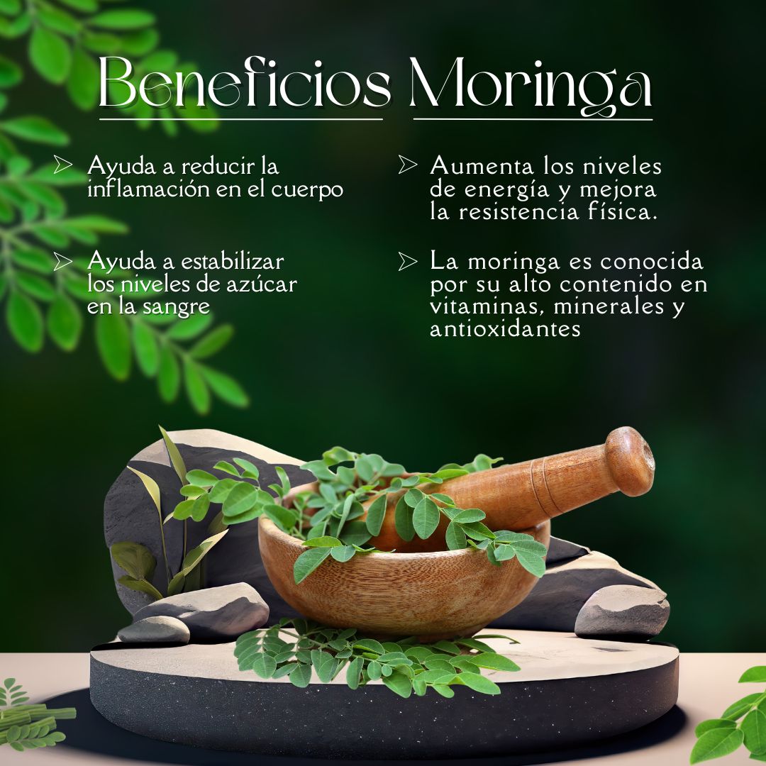 Té Moringa x 20 Tisanas