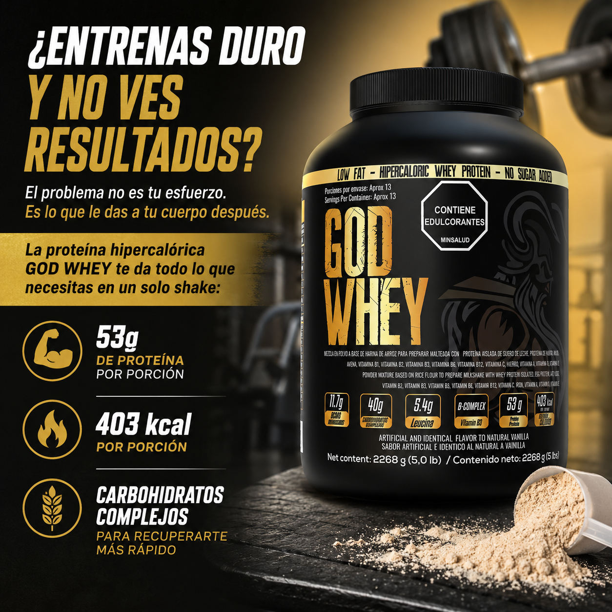 Proteina GodWhey 5lb