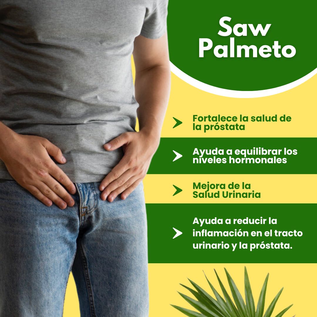 Saw Palmetto x 60 Cápsulas